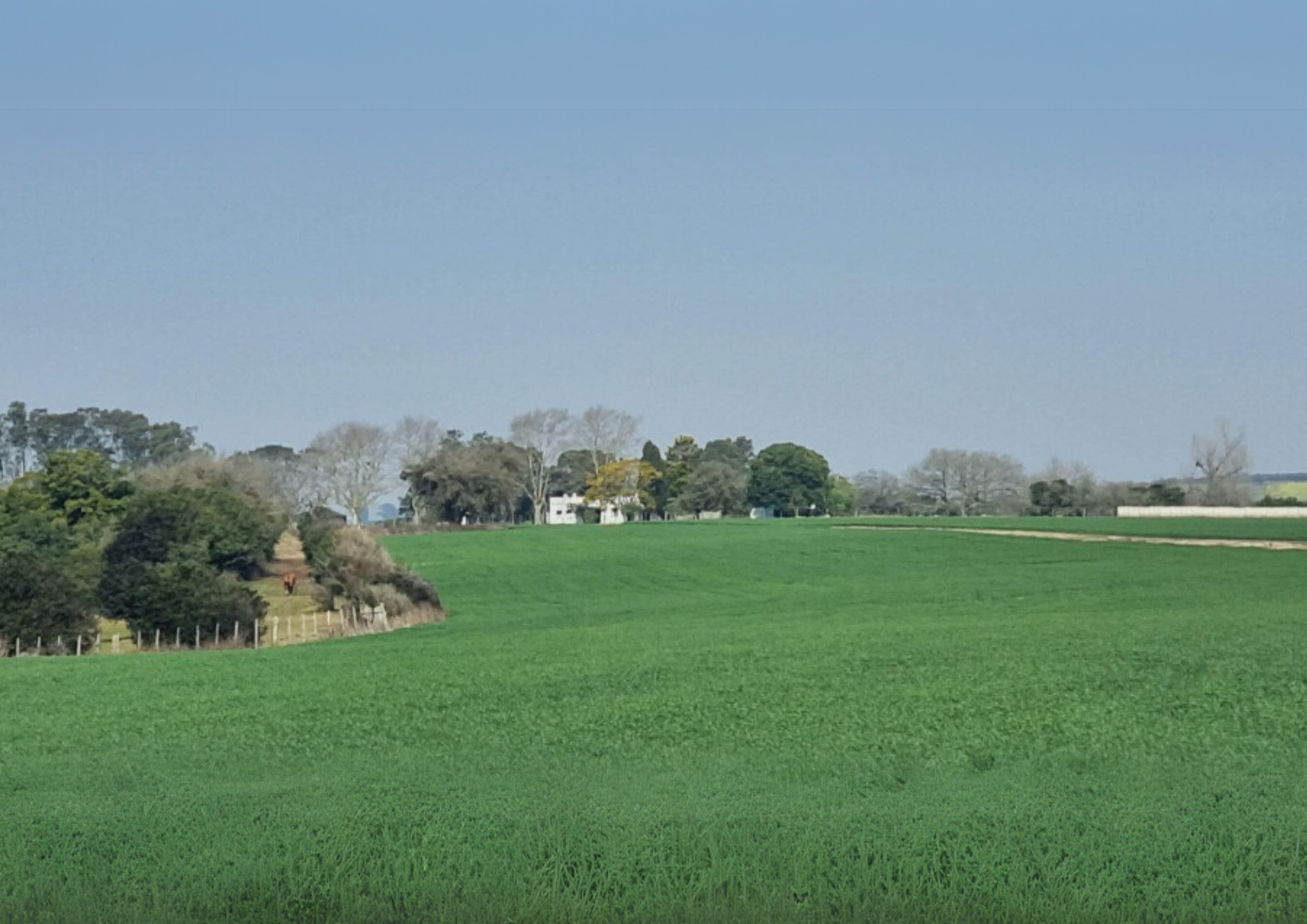 Arevalo Farm — 2,533 ha, Cerro Largo