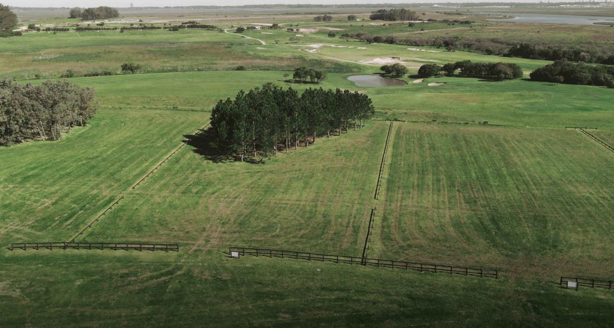 Fasano Las Piedras — Lot C