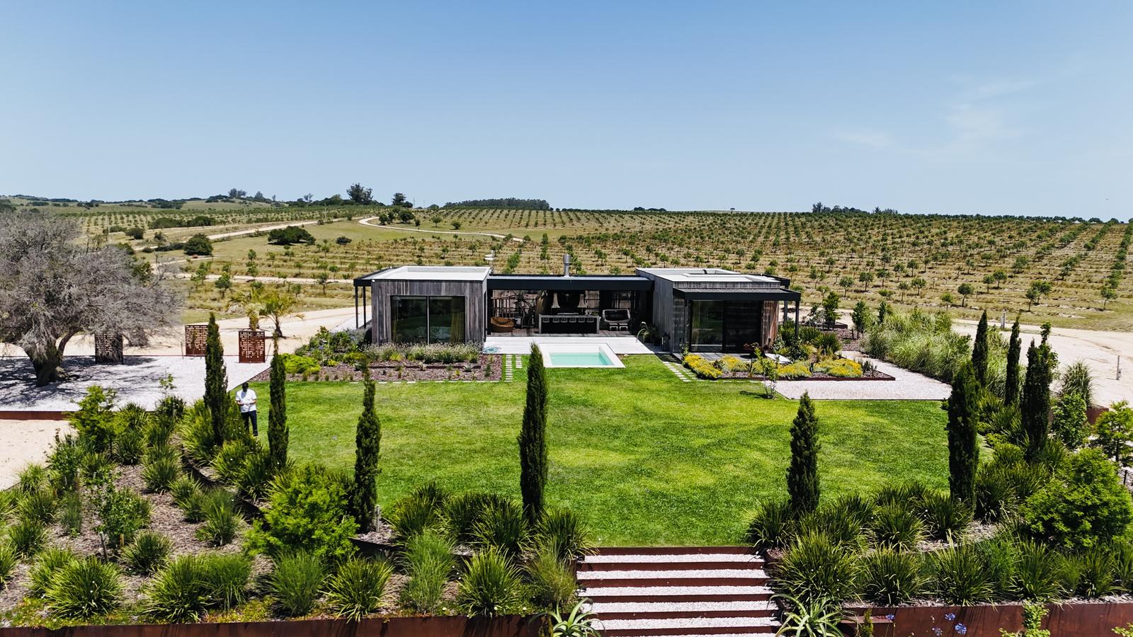 Osadía — Olive Estate