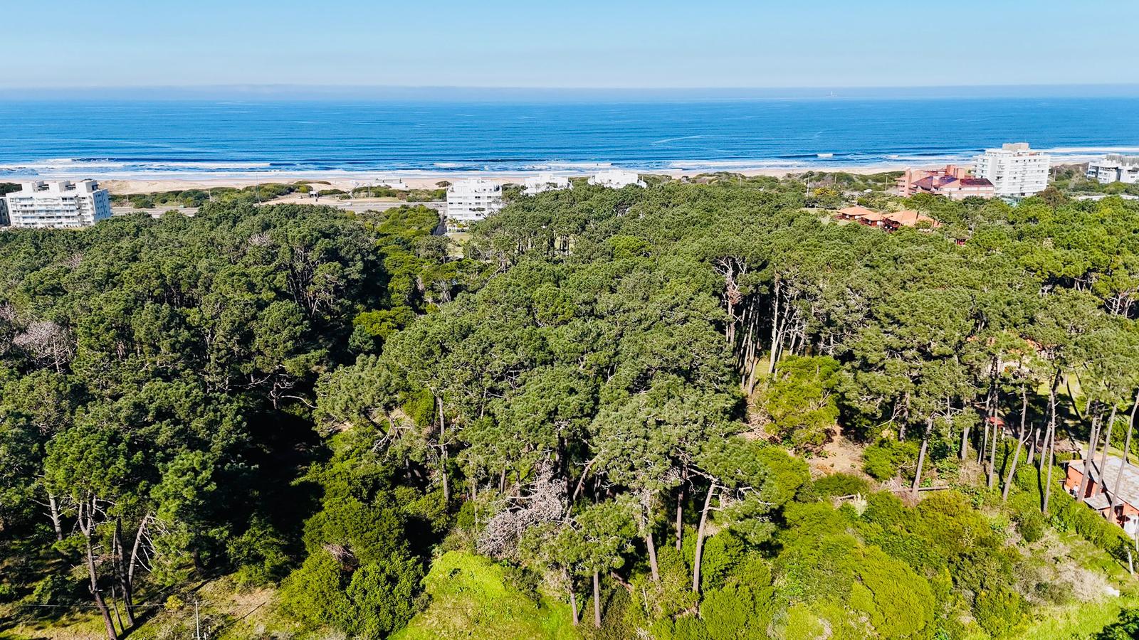 Rincón del Indio — Prime Development Parcel