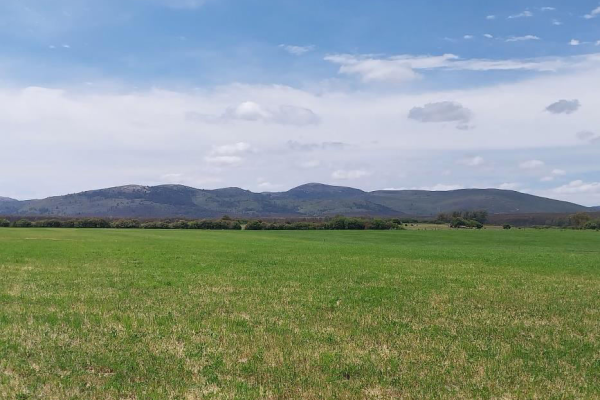 86 ha - Maldonado