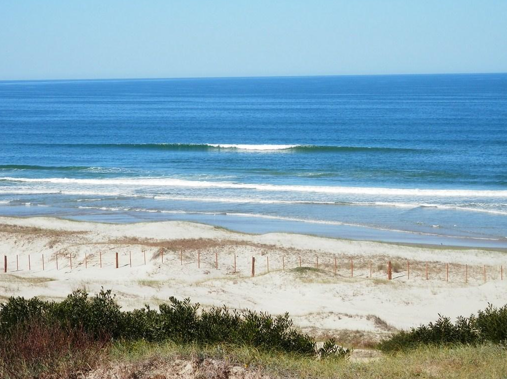 Palmares de la Coronilla — Oceanfront Farm, Rocha